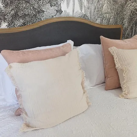 度假居 La Belle Cour 埃梅